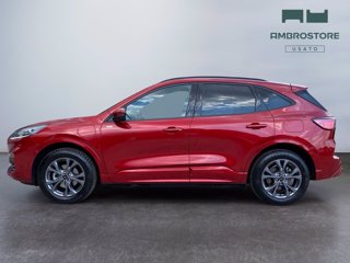 FORD Kuga 2.5 phev st-line x 2wd 225cv cvt