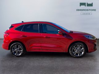 FORD Kuga 2.5 full hybrid st-line x 2wd 190cv cvt