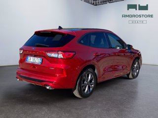 FORD Kuga 2.5 full hybrid st-line x 2wd 190cv cvt