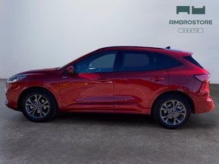 FORD Kuga 2.5 full hybrid st-line x 2wd 190cv cvt