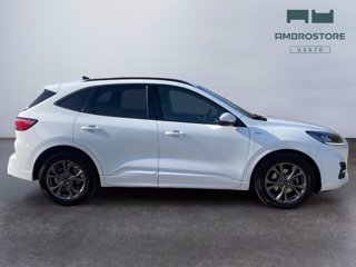 FORD Kuga 2.0 ecoblue mhev st-line 2wd 150cv