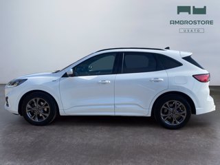 FORD Kuga 2.0 ecoblue mhev st-line 2wd 150cv
