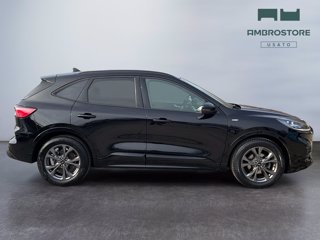 FORD Kuga 1.5 ecoblue st-line x 2wd 120cv auto