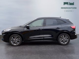 FORD Kuga 2.5 full hybrid st-line x 2wd 190cv cvt