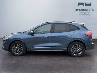 FORD Kuga 2.5 full hybrid st-line x 2wd 190cv cvt