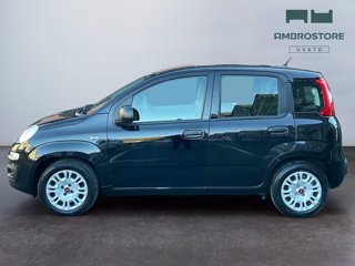 FIAT Panda 1.0 firefly hybrid s&s 70cv 5p.ti