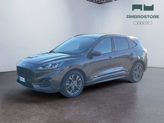 FORD Kuga 1.5 ecoblue st-line 2wd 120cv auto