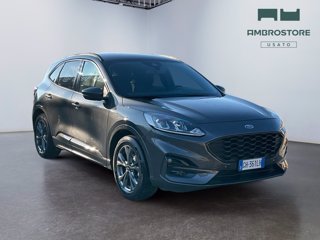 FORD Kuga 1.5 ecoblue st-line 2wd 120cv auto