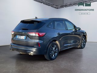 FORD Kuga 1.5 ecoblue st-line 2wd 120cv auto