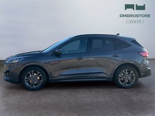 FORD Kuga 1.5 ecoblue st-line 2wd 120cv auto