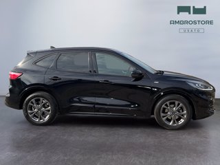 FORD Kuga 1.5 ecoblue st-line 2wd 120cv