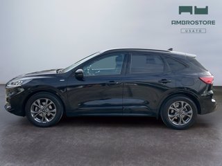 FORD Kuga 1.5 ecoblue st-line 2wd 120cv