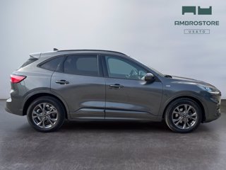 FORD Kuga 2.5 full hybrid st-line 2wd 190cv cvt