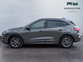 FORD Kuga 2.5 full hybrid st-line 2wd 190cv cvt