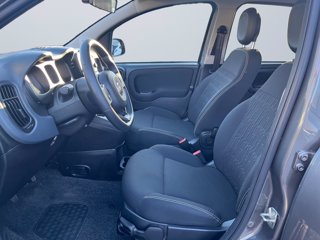 FIAT Panda 1.0 firefly hybrid city cross s&s 70cv 5p.ti