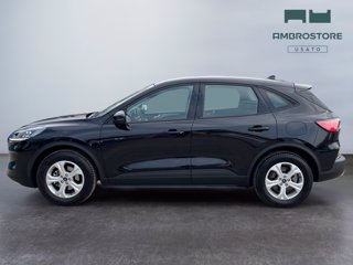 FORD Kuga 1.5 ecoboost connect 2wd 120cv
