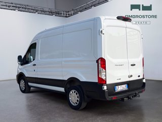 FORD Transit 350 2.0 tdci mhev 170cv trend l2h2 e6.2