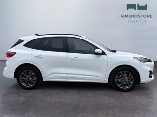FORD Kuga 2.5 full hybrid st-line x 2wd 190cv cvt