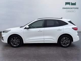 FORD Kuga 2.5 full hybrid st-line x 2wd 190cv cvt