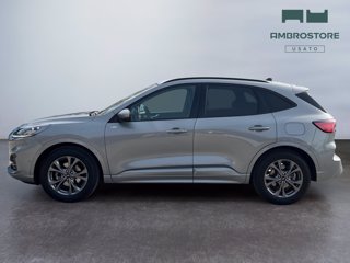 FORD Kuga 2.5 full hybrid st-line x 2wd 190cv cvt