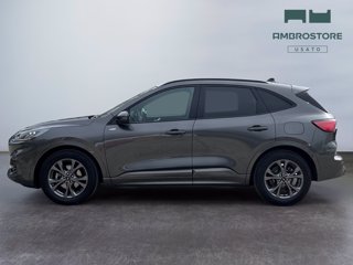 FORD Kuga 2.5 full hybrid st-line 2wd 190cv cvt