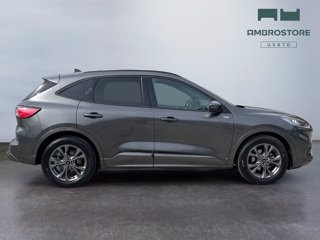 FORD Kuga 2.5 full hybrid st-line 2wd 190cv cvt