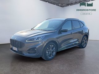 FORD Kuga 2.5 full hybrid st-line x 2wd 190cv cvt