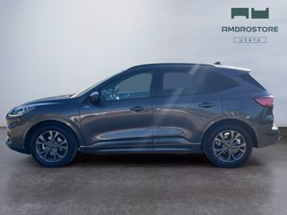 FORD Kuga 2.5 full hybrid st-line x 2wd 190cv cvt