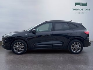 FORD Kuga 2.5 full hybrid st-line 2wd 190cv cvt