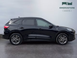 FORD Kuga 2.5 full hybrid st-line 2wd 190cv cvt