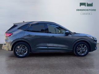 FORD Kuga 2.5 full hybrid st-line 2wd 190cv cvt