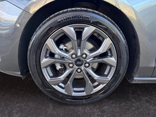 FORD Focus sw 1.5 ecoblue st-line x 120cv