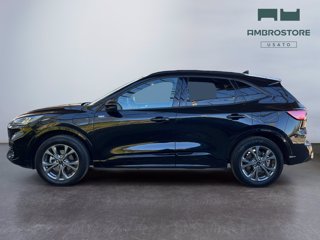 FORD Kuga 2.5 phev st-line 2wd 225cv cvt