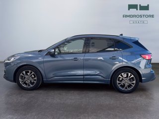 FORD Kuga 1.5 ecoblue st-line 2wd 120cv auto