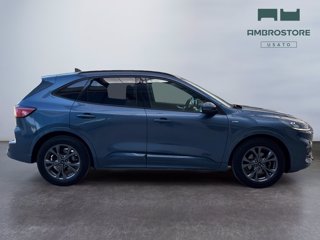 FORD Kuga 1.5 ecoblue st-line 2wd 120cv auto