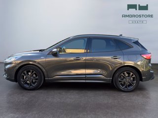 FORD Kuga 1.5 ecoblue st-line 2wd 120cv auto