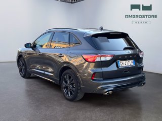 FORD Kuga 1.5 ecoblue st-line 2wd 120cv auto