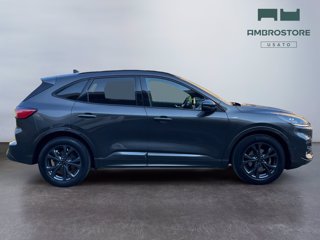 FORD Kuga 1.5 ecoblue st-line 2wd 120cv auto