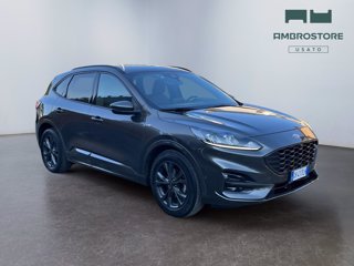 FORD Kuga 1.5 ecoblue st-line 2wd 120cv auto