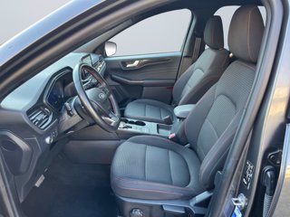 FORD Kuga 1.5 ecoblue st-line 2wd 120cv auto