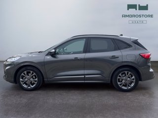FORD Kuga 2.0 ecoblue st-line x 2wd 120cv auto