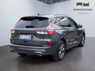 FORD Kuga 2.0 ecoblue st-line x 2wd 120cv auto