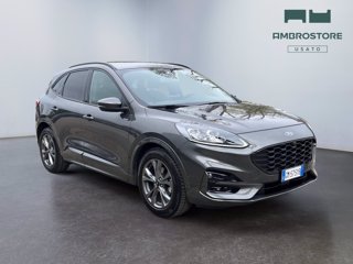 FORD Kuga 2.0 ecoblue st-line x 2wd 120cv auto