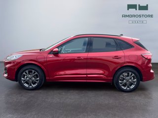FORD Kuga 2.5 phev st-line x 2wd 225cv cvt