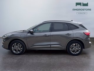 FORD Kuga 2.5 phev st-line x 2wd 225cv cvt