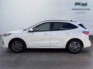 FORD Kuga 2.5 full hybrid st-line 2wd 190cv cvt