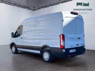 FORD Transit 290 2.0 tdci mhev 130cv trend l2h2 e6.2