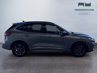 FORD Kuga 2.5 full hybrid st-line x 2wd 190cv cvt