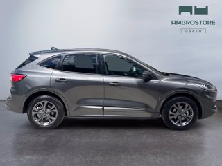 FORD Kuga 2.5 full hybrid st-line awd 190cv cvt