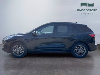 FORD Kuga 1.5 ecoblue st-line 2wd 120cv